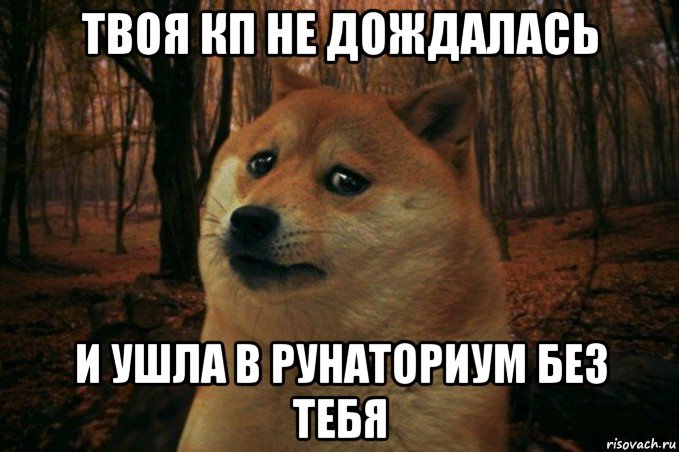 твоя кп не дождалась и ушла в рунаториум без тебя, Мем SAD DOGE