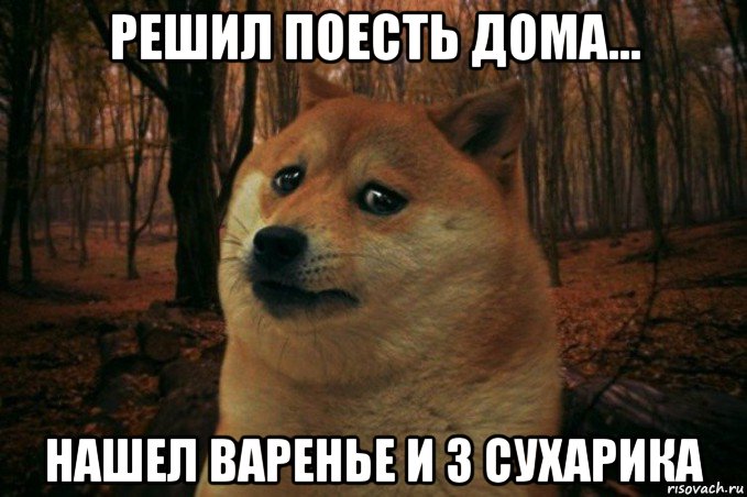 решил поесть дома... нашел варенье и 3 сухарика, Мем SAD DOGE