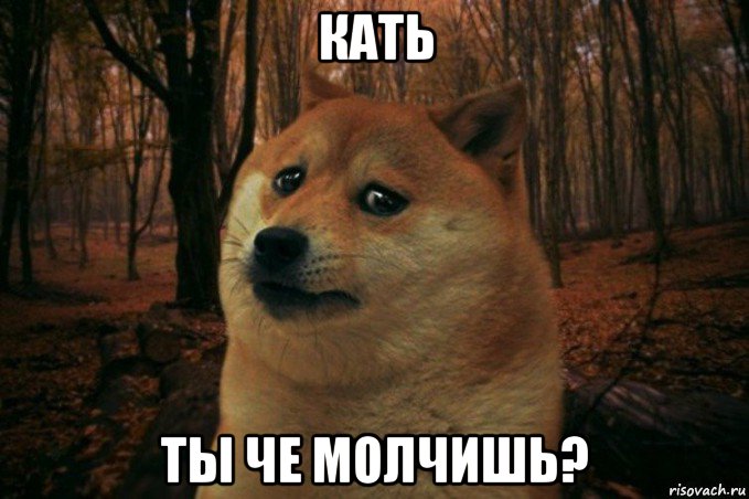 кать ты че молчишь?, Мем SAD DOGE