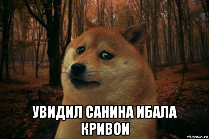  увидил санина ибала кривои, Мем SAD DOGE