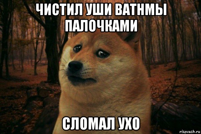 чистил уши ватнмы палочками сломал ухо, Мем SAD DOGE