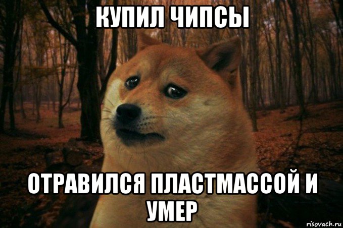 купил чипсы отравился пластмассой и умер, Мем SAD DOGE