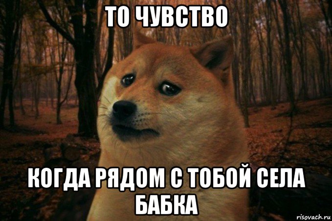 то чувство когда рядом с тобой села бабка, Мем SAD DOGE