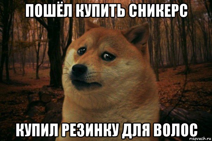 пошёл купить сникерс купил резинку для волос, Мем SAD DOGE