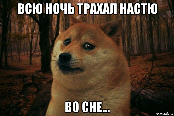 всю ночь трахал настю во сне..., Мем SAD DOGE