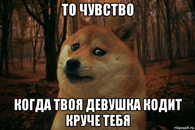 то чувство когда твоя девушка кодит круче тебя, Мем SAD DOGE