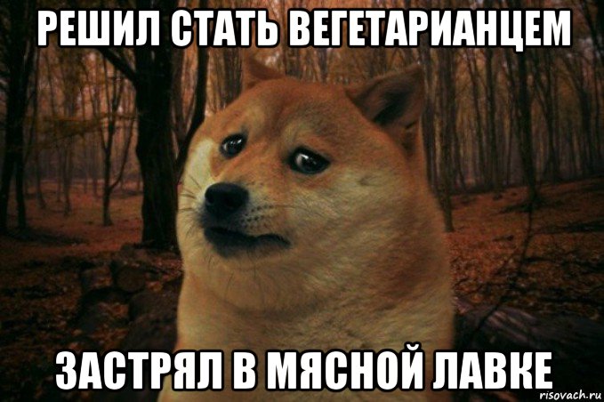 решил стать вегетарианцем застрял в мясной лавке, Мем SAD DOGE