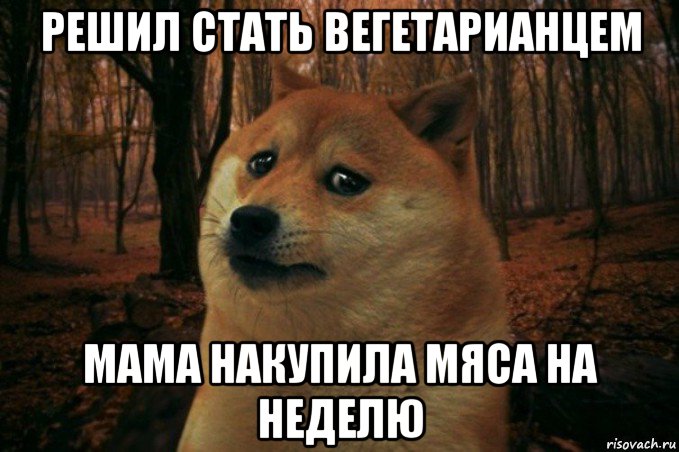 решил стать вегетарианцем мама накупила мяса на неделю, Мем SAD DOGE