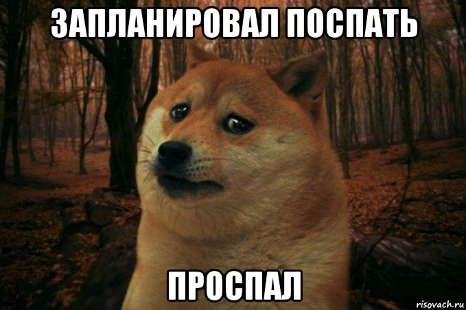 запланировал поспать проспал, Мем SAD DOGE