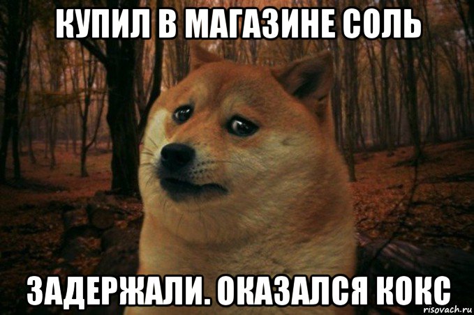 купил в магазине соль задержали. оказался кокс, Мем SAD DOGE