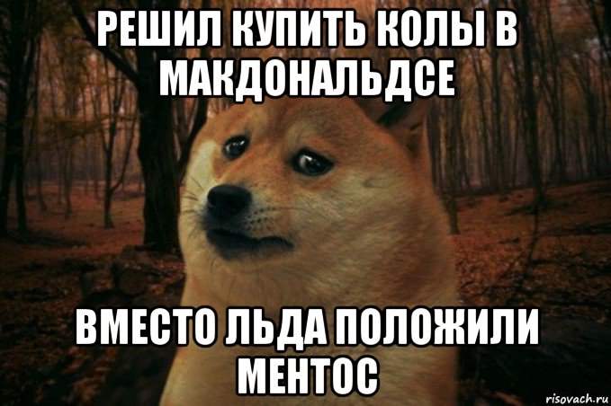 решил купить колы в макдональдсе вместо льда положили ментос, Мем SAD DOGE