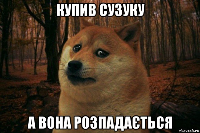 купив сузуку а вона розпадається, Мем SAD DOGE