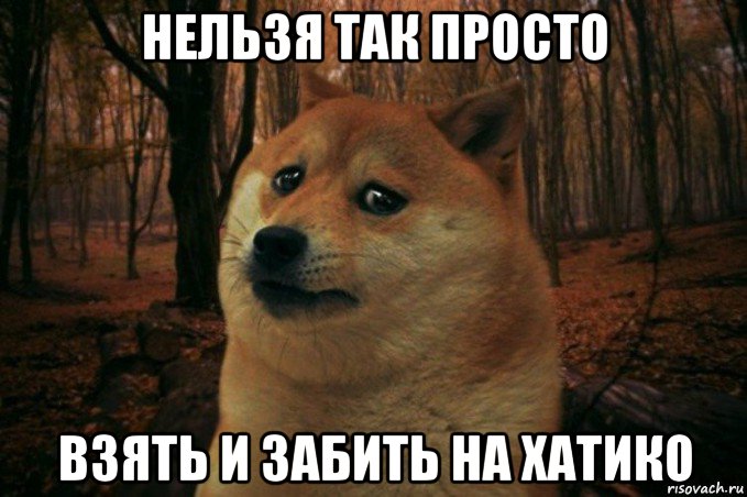 нельзя так просто взять и забить на хатико, Мем SAD DOGE