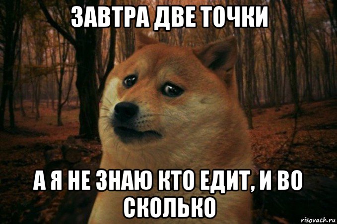 завтра две точки а я не знаю кто едит, и во сколько, Мем SAD DOGE