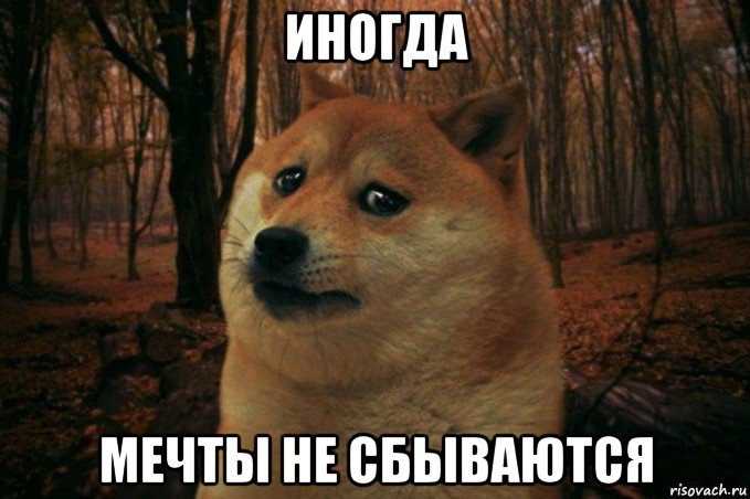 иногда мечты не сбываются, Мем SAD DOGE