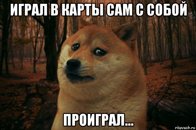 играл в карты сам с собой проиграл..., Мем SAD DOGE