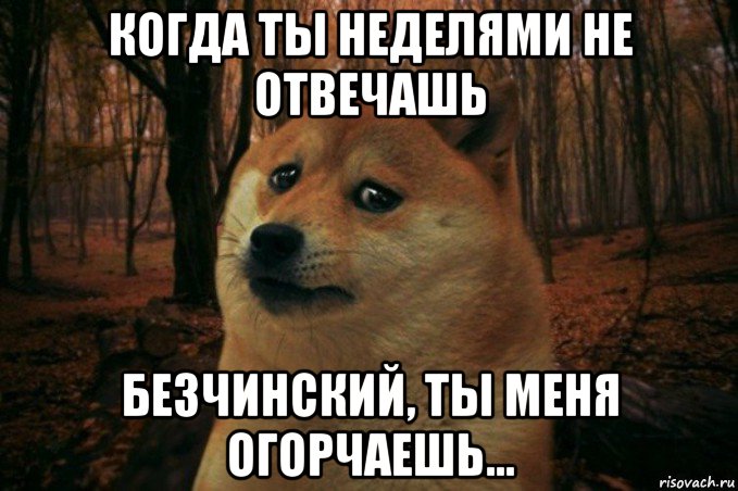 когда ты неделями не отвечашь безчинский, ты меня огорчаешь..., Мем SAD DOGE