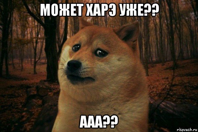 может харэ уже?? ааа??, Мем SAD DOGE