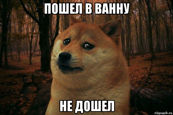 пошел в ванну не дошел, Мем SAD DOGE