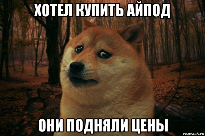 хотел купить айпод они подняли цены, Мем SAD DOGE