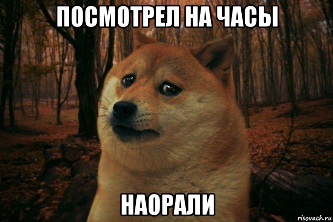 посмотрел на часы наорали, Мем SAD DOGE