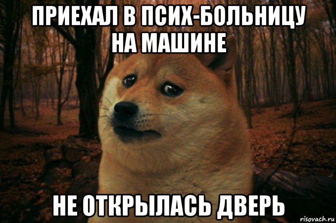 приехал в псих-больницу на машине не открылась дверь, Мем SAD DOGE