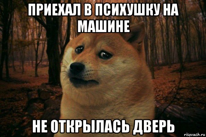 приехал в психушку на машине не открылась дверь, Мем SAD DOGE