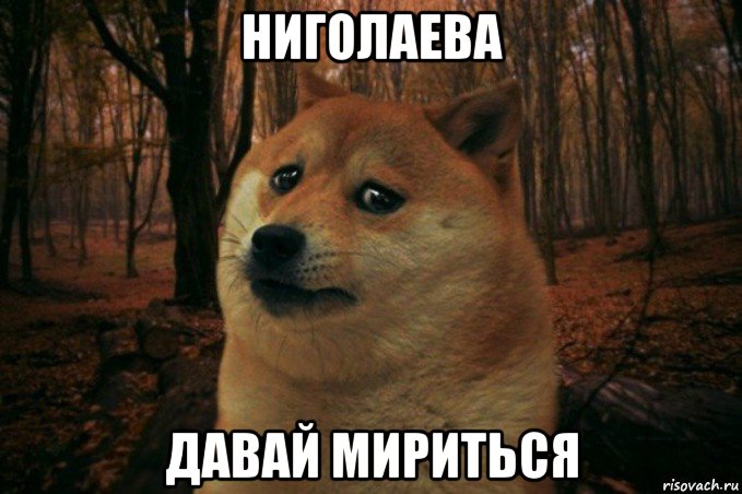 ниголаева давай мириться, Мем SAD DOGE