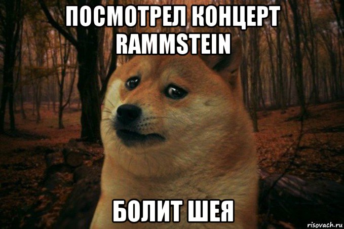 посмотрел концерт rammstein болит шея, Мем SAD DOGE