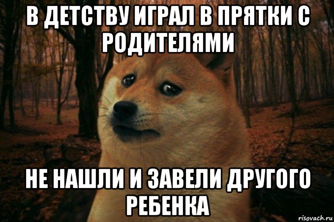 в детству играл в прятки с родителями не нашли и завели другого ребенка, Мем SAD DOGE