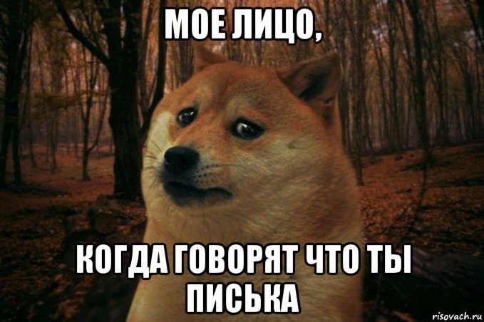 мое лицо, когда говорят что ты писька, Мем SAD DOGE