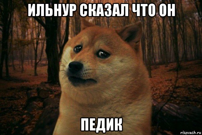 ильнур сказал что он педик, Мем SAD DOGE