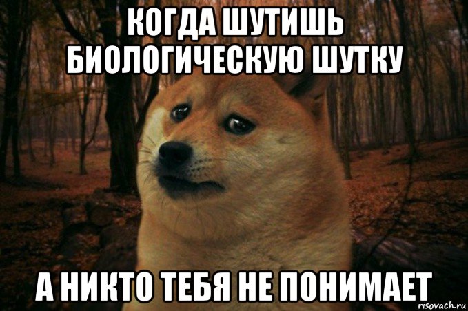 когда шутишь биологическую шутку а никто тебя не понимает, Мем SAD DOGE