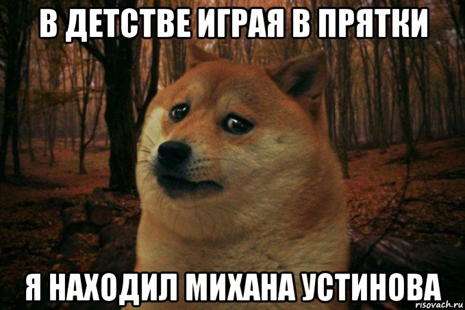 в детстве играя в прятки я находил михана устинова, Мем SAD DOGE