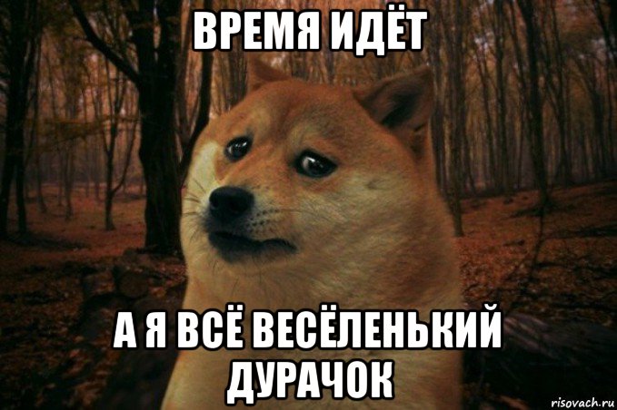 время идёт а я всё весёленький дурачок, Мем SAD DOGE