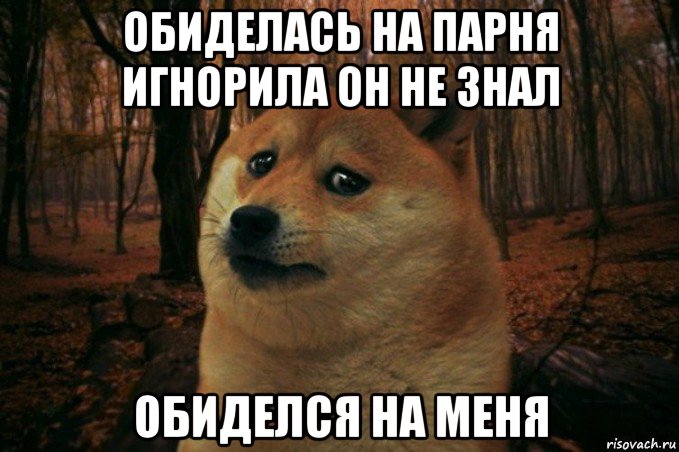 обиделась на парня игнорила он не знал обиделся на меня, Мем SAD DOGE