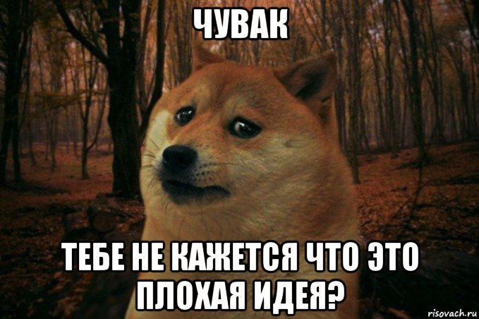 чувак тебе не кажется что это плохая идея?, Мем SAD DOGE