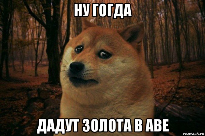 ну гогда дадут золота в аве, Мем SAD DOGE