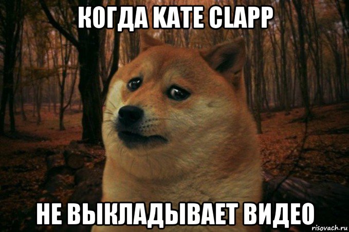 когда kate clapp не выкладывает видео, Мем SAD DOGE