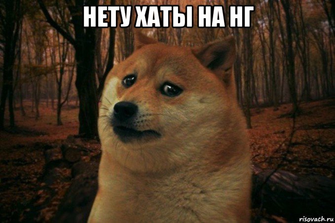 нету хаты на нг , Мем SAD DOGE