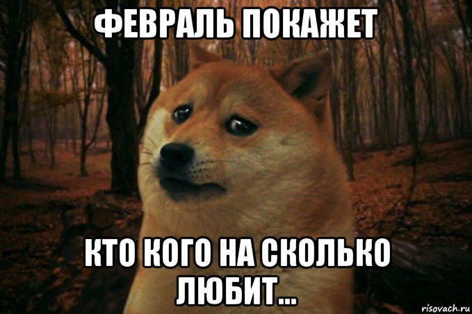 февраль покажет кто кого на сколько любит..., Мем SAD DOGE