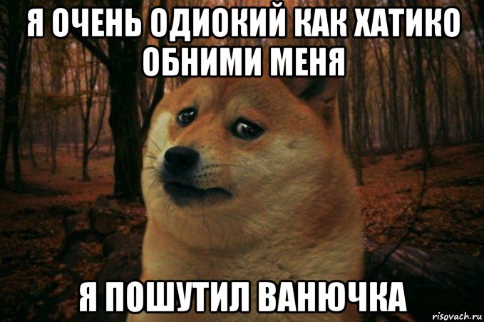 я очень одиокий как хатико обними меня я пошутил ванючка, Мем SAD DOGE