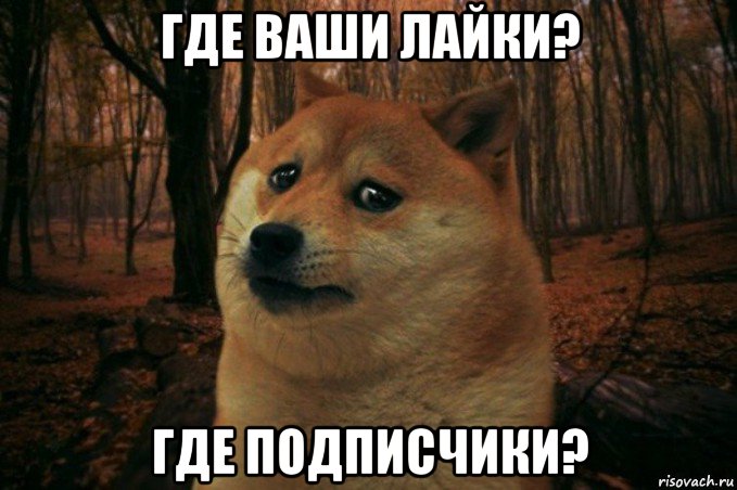 где ваши лайки? где подписчики?, Мем SAD DOGE