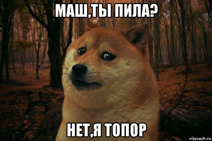 маш,ты пила? нет,я топор, Мем SAD DOGE