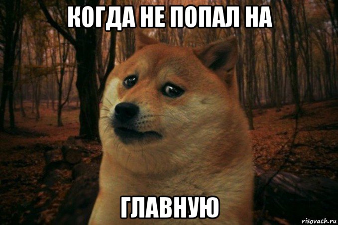 когда не попал на главную, Мем SAD DOGE