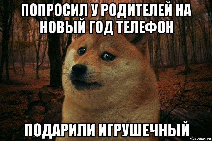 попросил у родителей на новый год телефон подарили игрушечный, Мем SAD DOGE