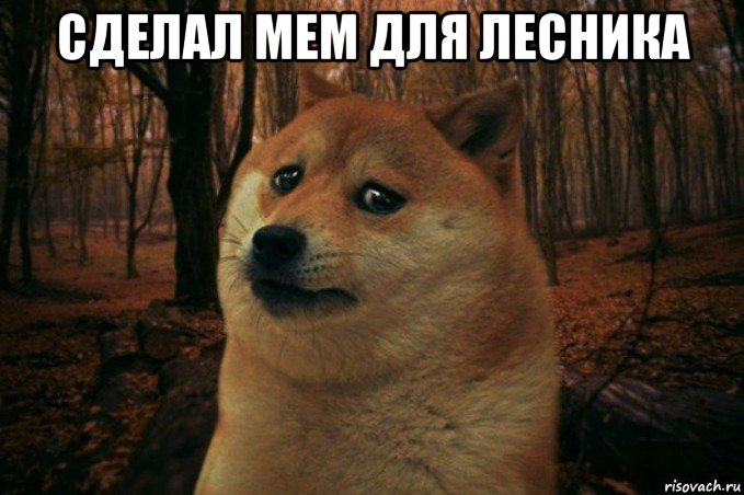 сделал мем для лесника , Мем SAD DOGE