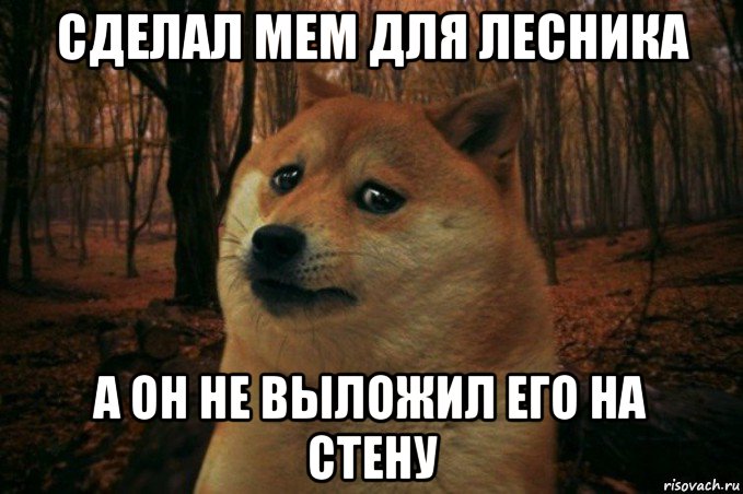 сделал мем для лесника а он не выложил его на стену, Мем SAD DOGE