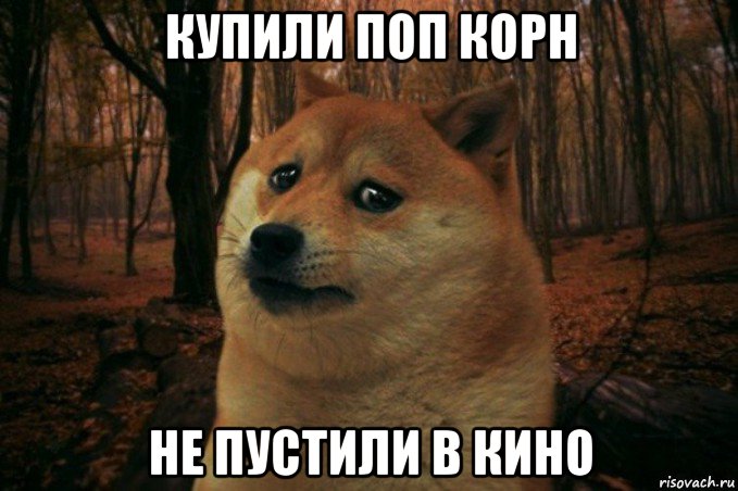 купили поп корн не пустили в кино, Мем SAD DOGE