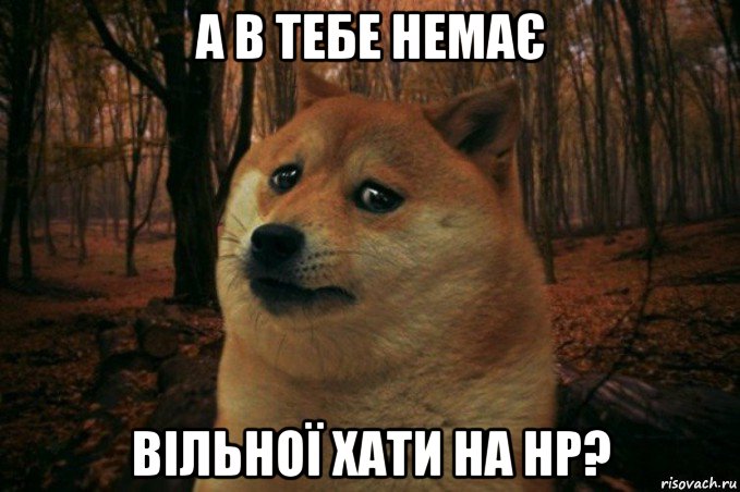 а в тебе немає вільної хати на нр?, Мем SAD DOGE